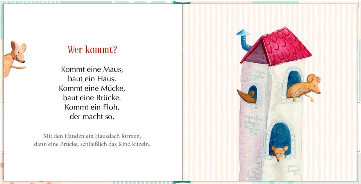 Actual product image Tickle tickle mouse (German)