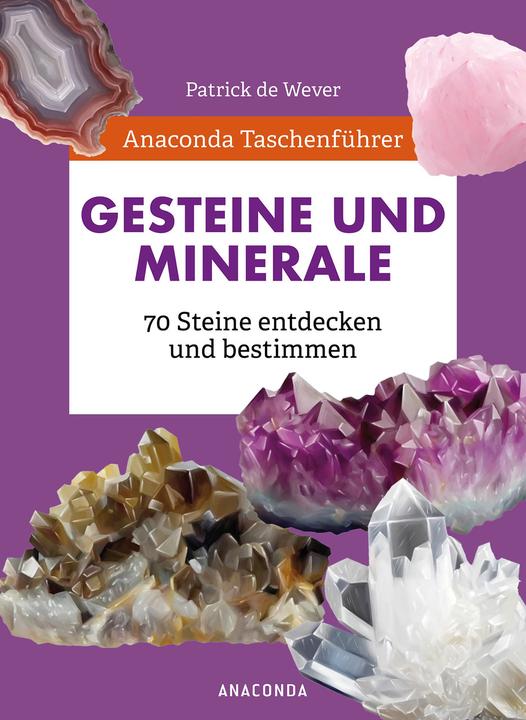 Produktbild Taschenführer Gesteine und Minerale. 70 Steine entdecken und bestimmen (Deutsch, Patrick De Wever, 2022)
