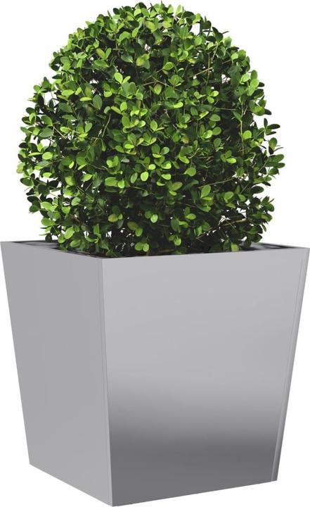 Image du produit vidaXL Pflanzkübel