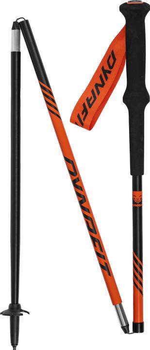 Produktbild Dynafit Alpine Stock (135 cm)