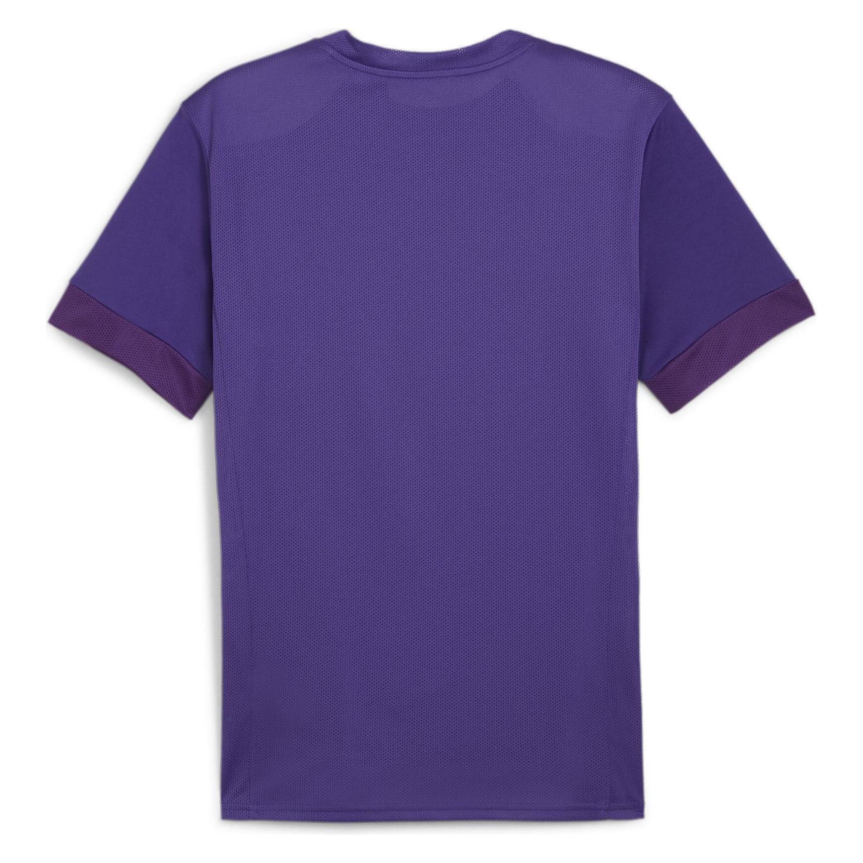 Puma, Mannen, Sportief Shirt, TeamGOAL Wedstrijd Jersey (3XL), Paars, 3XL