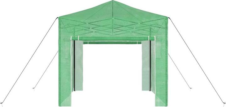 Actual product image vidaXL Gewächshaus