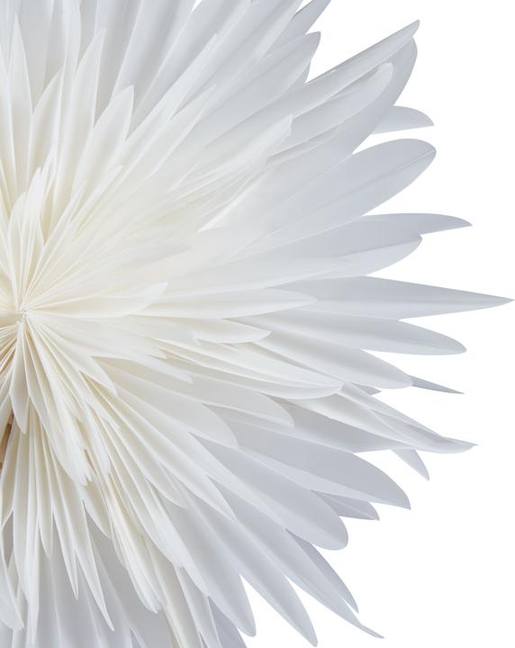 Image du produit Beliani Satopanth (E14)