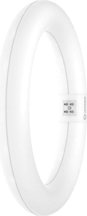 Actual product image Ledvance LED Ring TubeT9C (G10q, 11000 W, 1200 lm, 1 x, F)