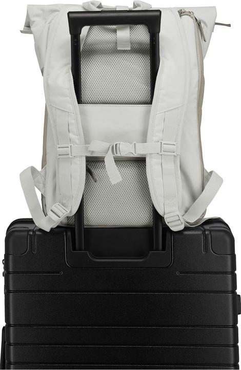 Image du produit Travelite Basics Daypack 60 cm Laptopfach (35 l)