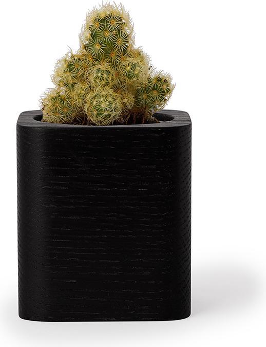 Produktbild Oakywood Cubic Pot Würfeliger Holzbehälter - für Stifte oder eine Blume - Schwarz -