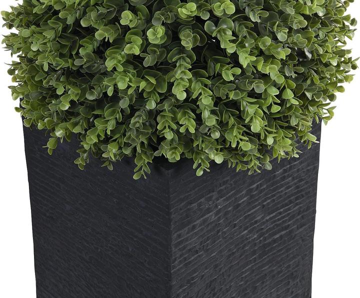 Immagine prodotto Ozaia Diava (66 cm)