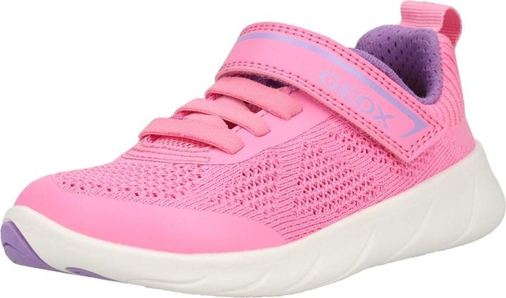 Pink, Pink/Lavender CE88Q, Violett