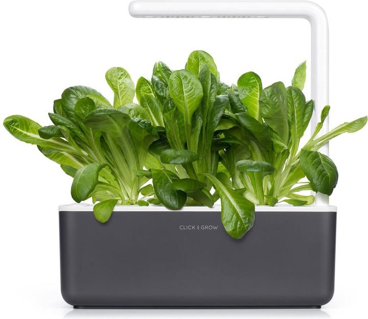 Produktbild Click and Grow Zugabe von Römersalat (Samenbomben)