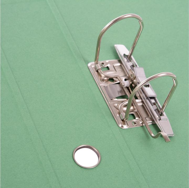 Actual product image Goldbuch Folder A4 (A4, 80 mm, 1 pcs.)