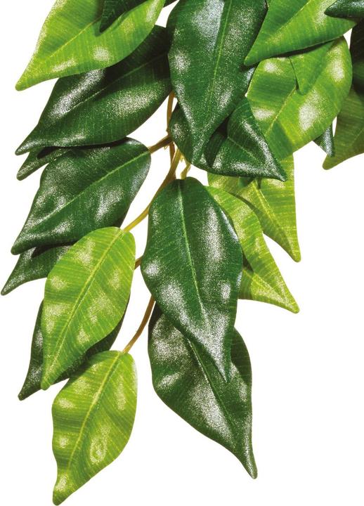 Hagen Fluval Exo Terra Seidenficus für Terrarium 55 cm