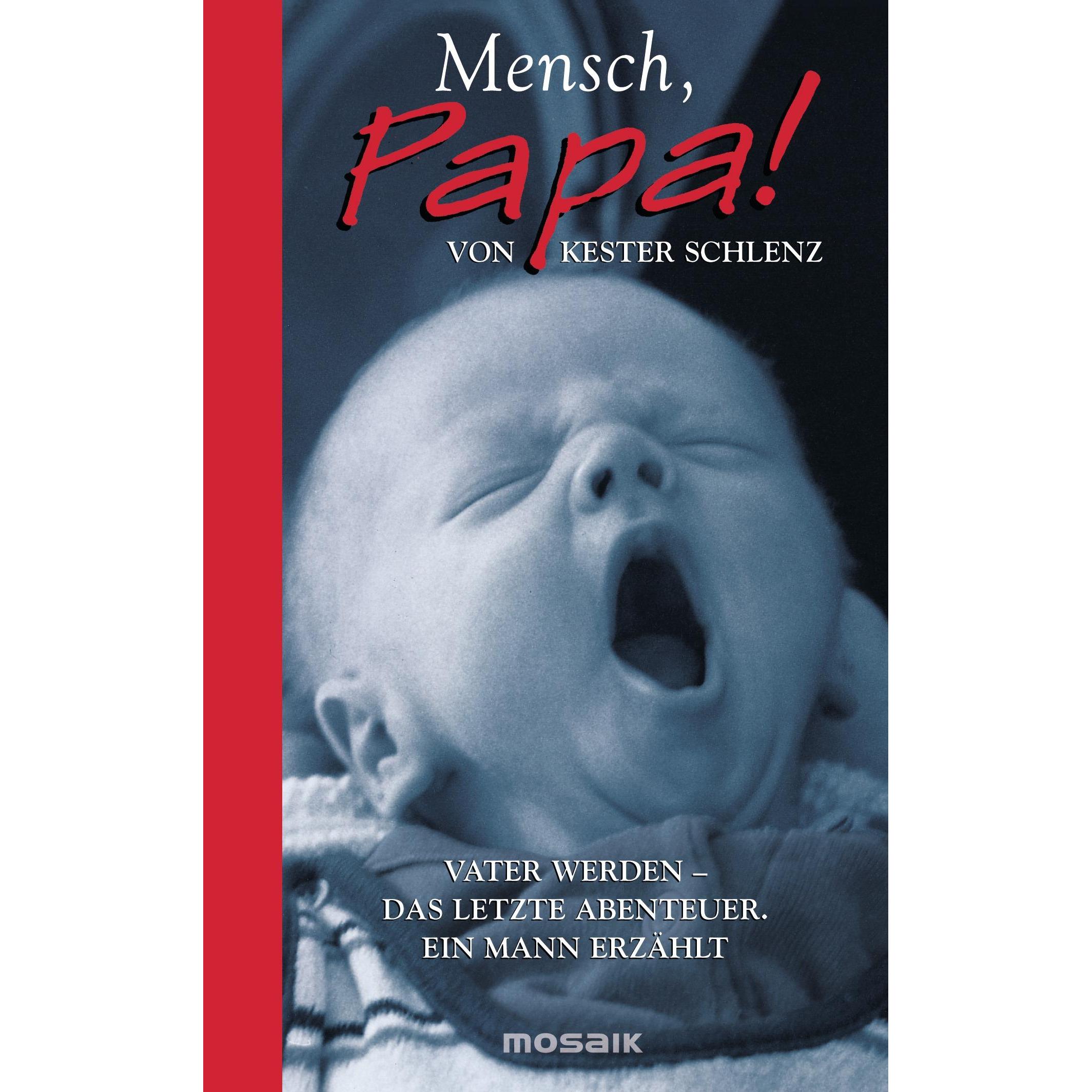 Mensch, Papa!, Ratgeber von Kester Schlenz