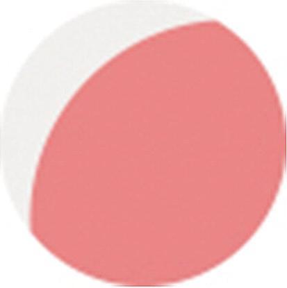 Produktbild Sensai Blooming Blush (02)