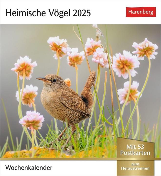 Produktbild Harenberg Heimische Vögel Postkartenkalender 2025 - Wochenkalender mit 53 Postkarten (1 Woche / 1 Seite)