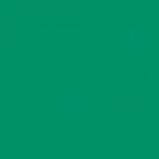 Immagine prodotto Talens Vernice opaca Ecoline 30ml (30 ml)