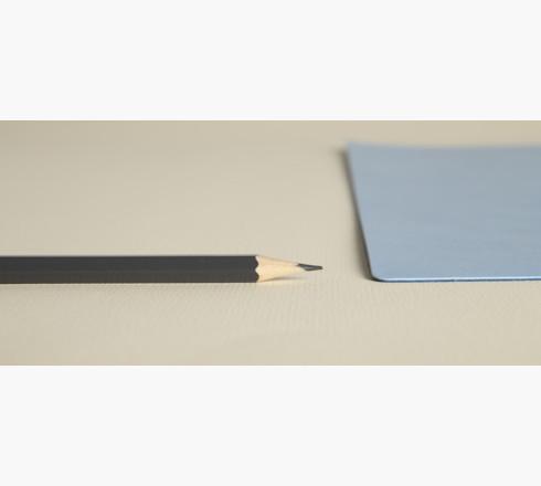 Actual product image Exacompta Desk pad (35 x 60 cm)