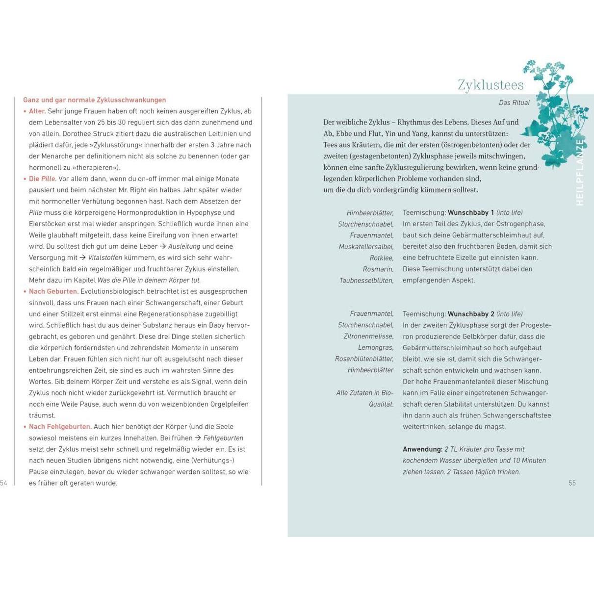 Thumbnail - Schwanger werden, Ratgeber von Kareen Dannhauer