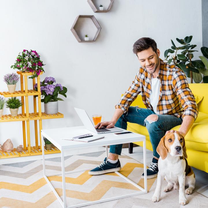 Image du produit Relaxdays Escalier pour fleurs XL