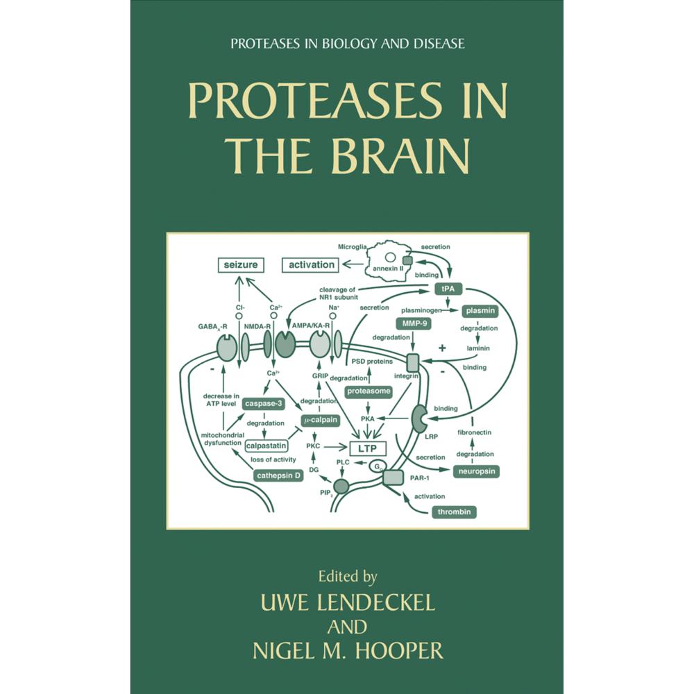 Proteases in the Brain, Fachbücher von Uwe Lendeckel, Nigel M. Hooper