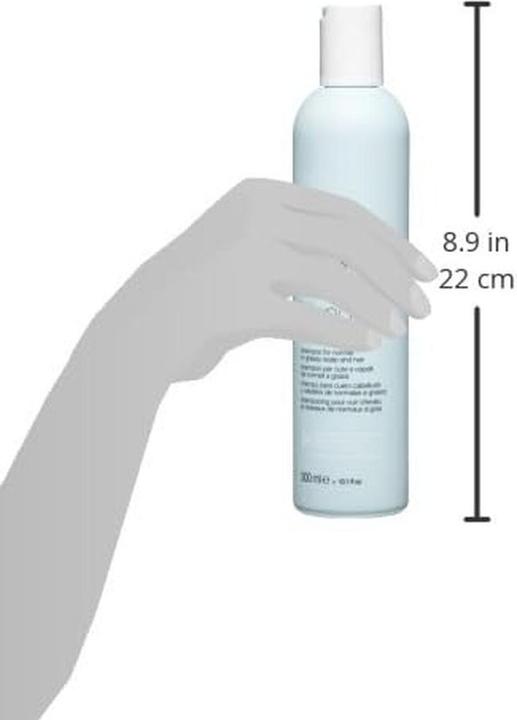 Produktbild Milk_Shake Normalizing Blend Shampoo 300 ml (Flüssiges Shampoo, 300 ml)