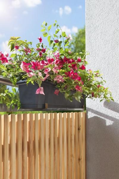 Produktbild Windhager Blumenkasten-Halter