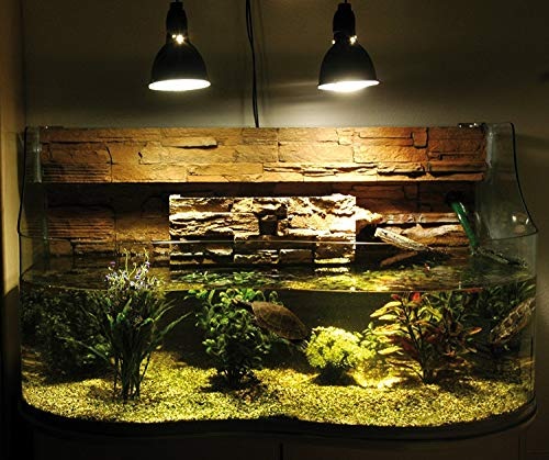 Actual product image Lucky Reptile Metal halide lamp