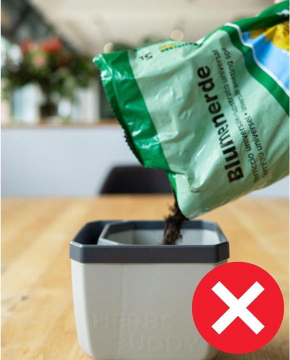 Actual product image Gusta Garden Herbs Buddy (49 x 15 x 14.50 cm)