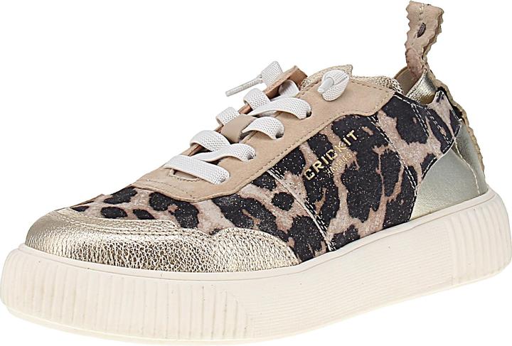 Leone di platino, Multicolore