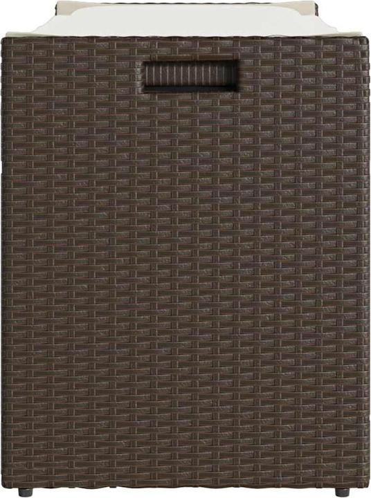 Actual product image vidaXL Dracovenator