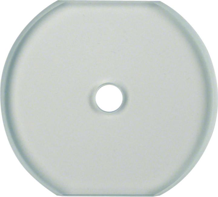 Produktbild Berker Glasplatte