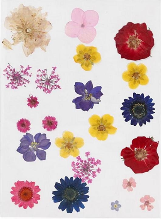 Actual product image Creativ Company Pressed (1 pcs.)