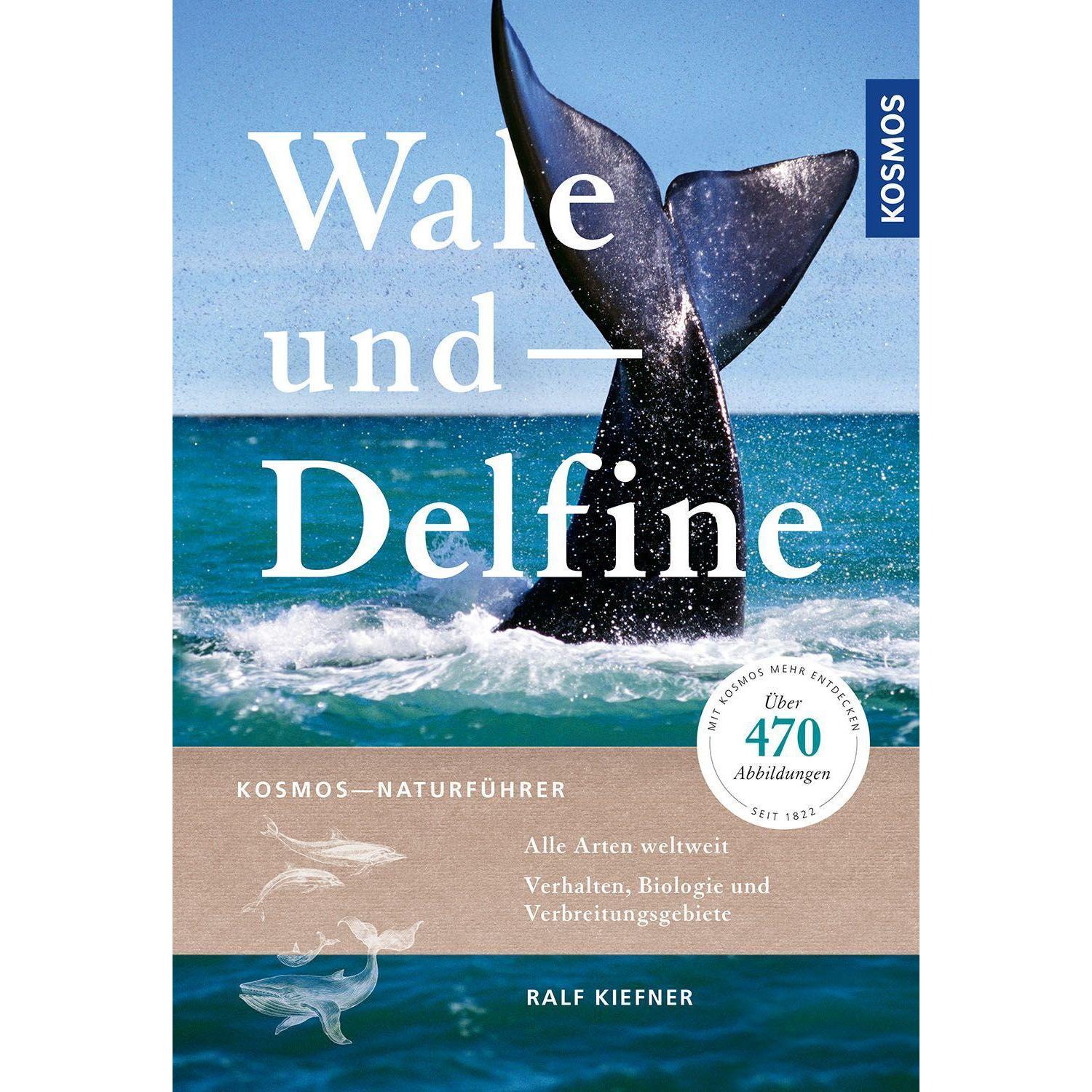 Thumbnail - Wale und Delfine, Ratgeber von Ralf Kiefner