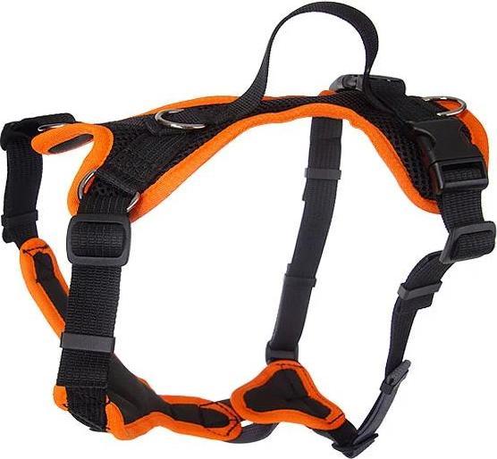 Image du produit Grossenbacher Harnais pour chiots Puppy FunRun Vario (M, Chien, Promenade)