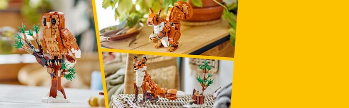 Image du produit LEGO 31154 Animaux de la forêt : renard roux (31154, LEGO Creator Expert)