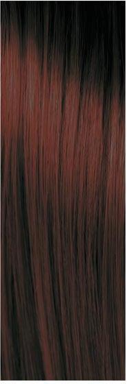 Image du produit pH Argan & Kératine Color (4.2 Pourpre brun)