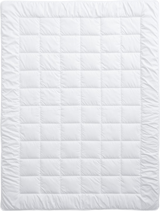 Immagine prodotto Billerbeck Edition Marett Uno Bambus (1560 g, 240 x 240 cm)