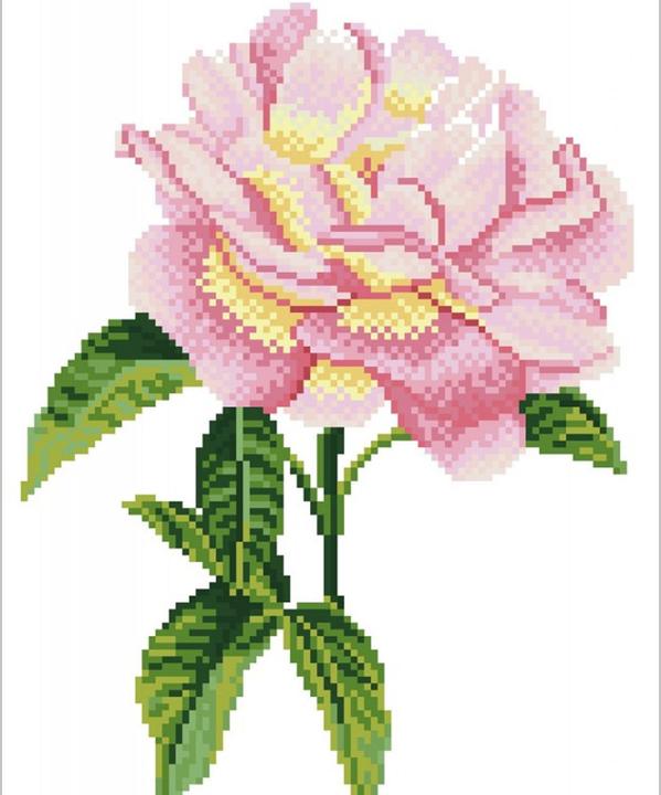 Immagine prodotto Dante DD5.069