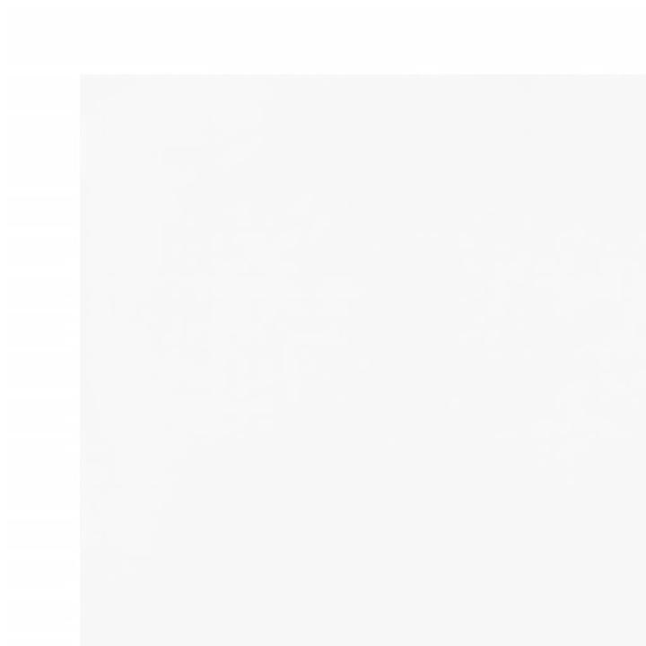 Image du produit vidaXL Plane (10 x 1.50 m)