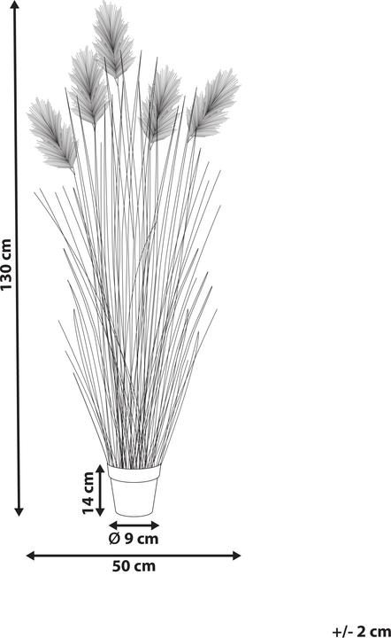 Image du produit Beliani Grass (130 cm)