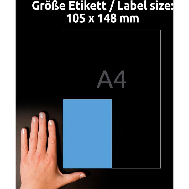 Image du produit Avery Étiquettes Farbige