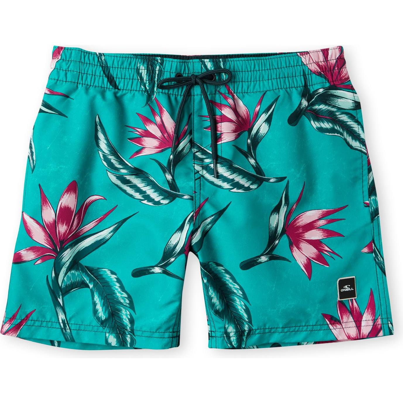 O'Neill, Jungen, Badehose, Print, Türkis, (176)
