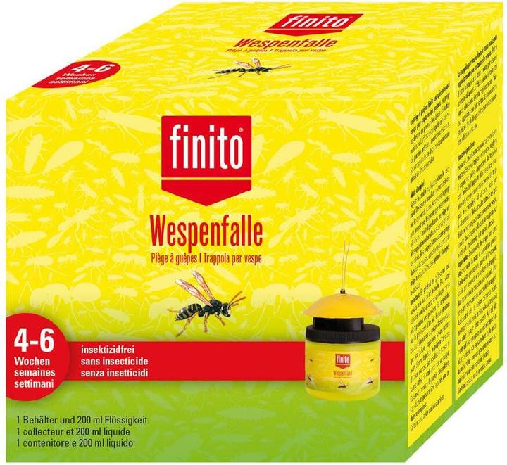 Finito Wasp Trap