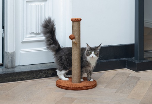 Image du produit Designed by Lotte Arbre à chat (70 cm, Terre cuite, Marron)