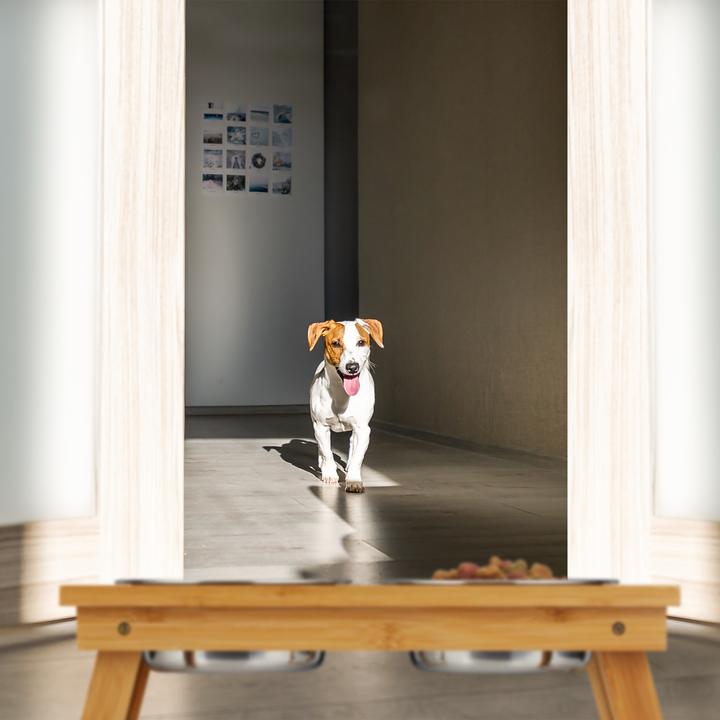 Immagine prodotto Relaxdays Ciotole Rialzate, per Cani di Media Taglia (0.70 l)