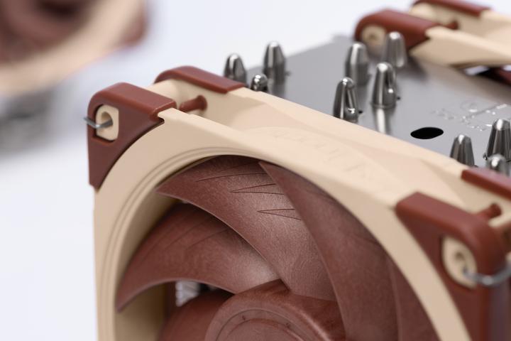 Actual product image
