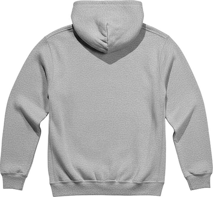 Produktbild Ubisoft Kapuzenpullover (L)