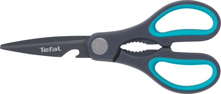 Tefal Fresh Kitchen (21 cm)