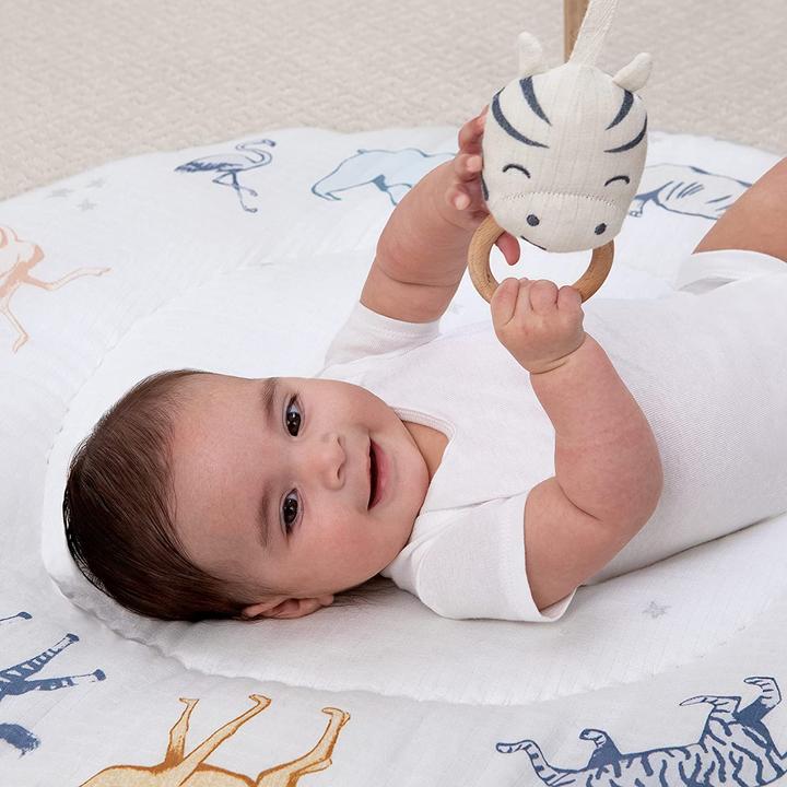 Actual product image aden + anais Adventure blanket with play bow