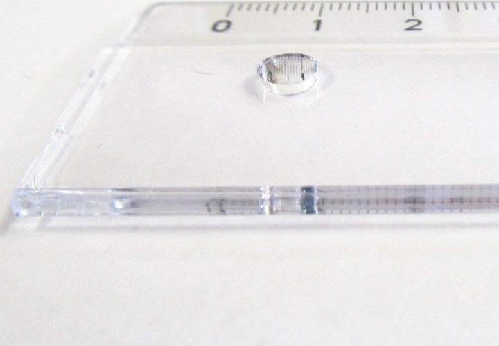 Actual product image Linex School ruler transparent (30 cm, Plastic)