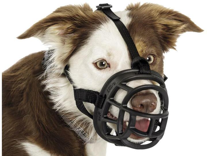 Actual product image Company of Animals Muzzle Ultra Muzzle size 2 (2, Dog, General)